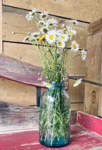 Wildflowers-Glamping at Lost Indian Camp
