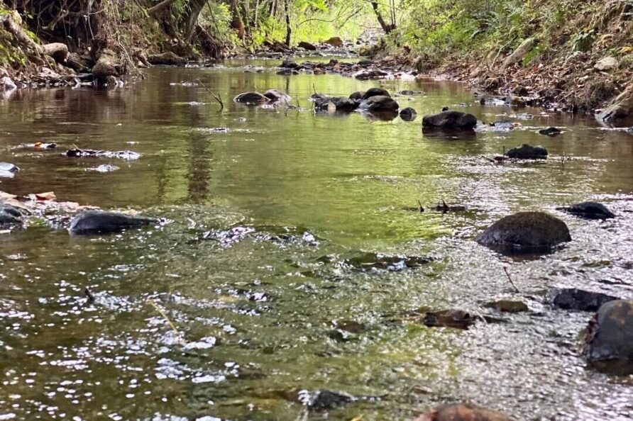 creek at Lost Indian Camp